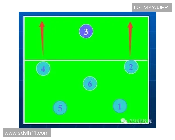 成都排球队节奏对比分析揭示战术优势与不足之处